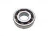 Wheel Bearing:110 24