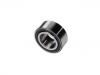 Wheel Bearing:3876518