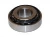 Wheel Bearing:211 501 283 D